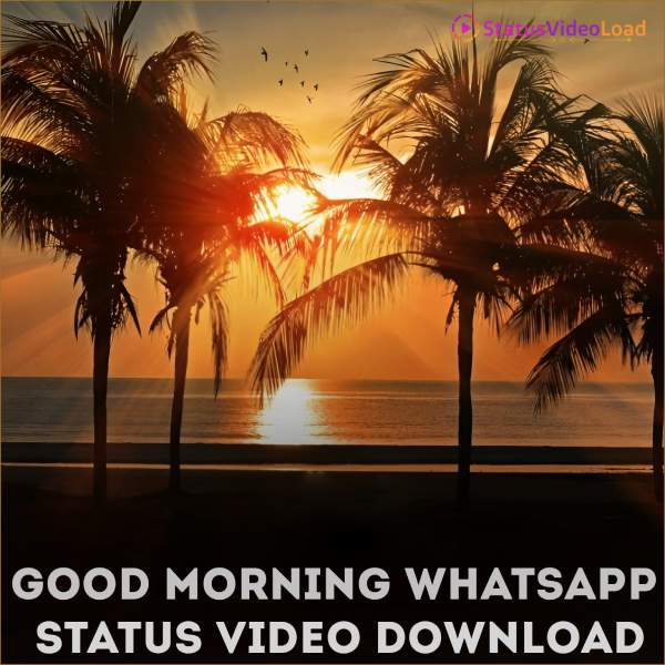 Good Morning Whatsapp Status Video Download