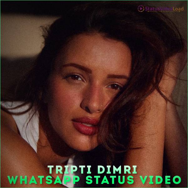 Tripti Dimri Status Video Download